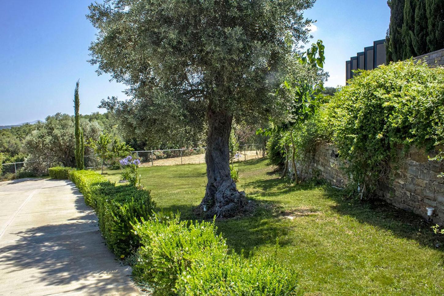 Arion Krini Villa Amnátos Buitenkant foto
