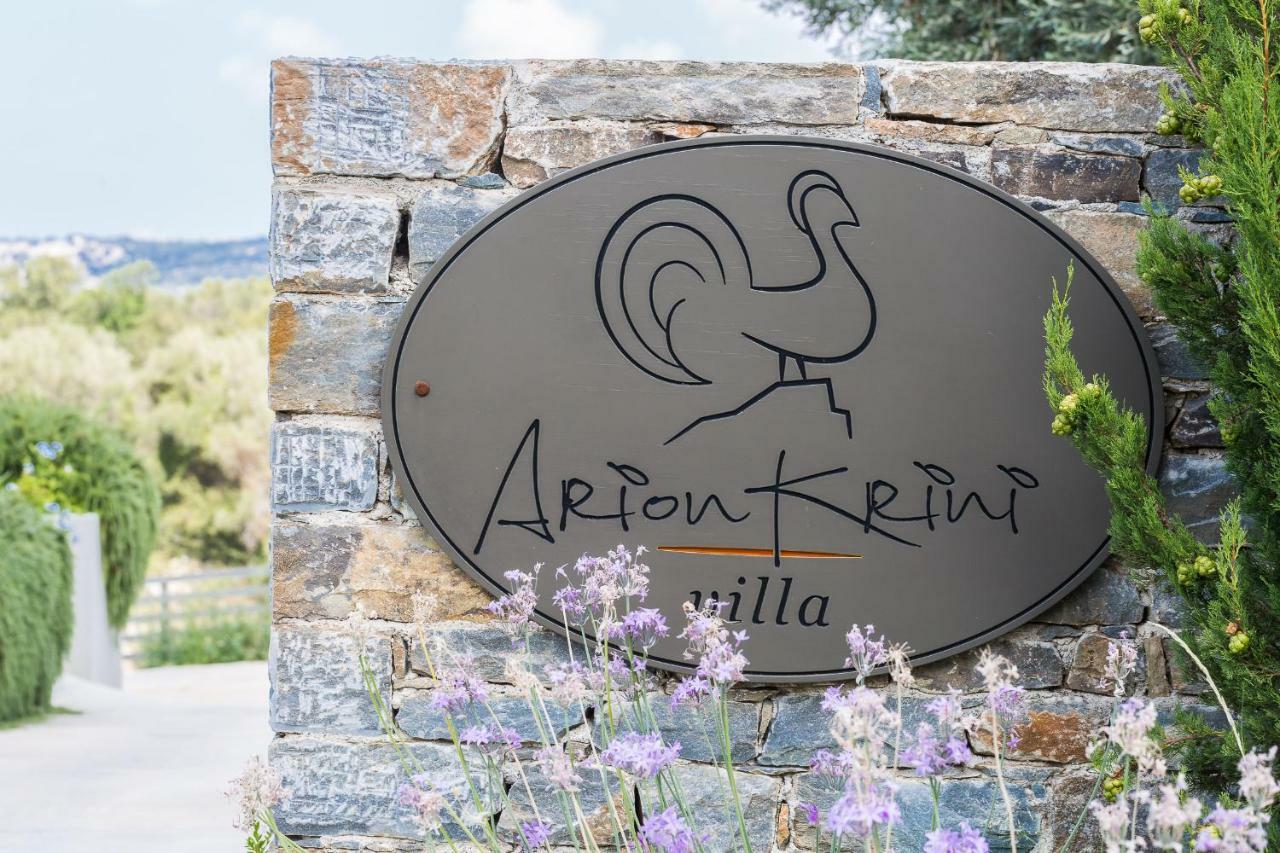 Arion Krini Villa Amnátos Buitenkant foto